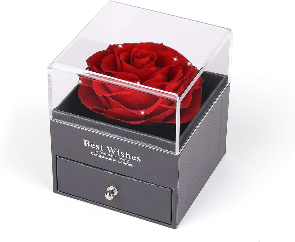 Mothers Day Flower Gifts for Her, Preserved Real Flower Rose with Silver-Tone Heart Necklace I Love You in 100 Languages Gift Set, Enchanted Flower Rose Gifts, Red Crystal